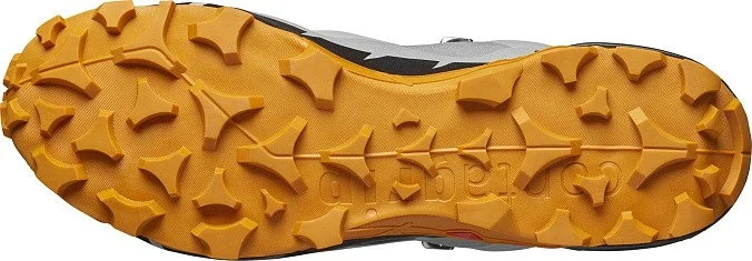 Кроссовки Salomon Cross Hike GTX 2 Gull/Marma/Black