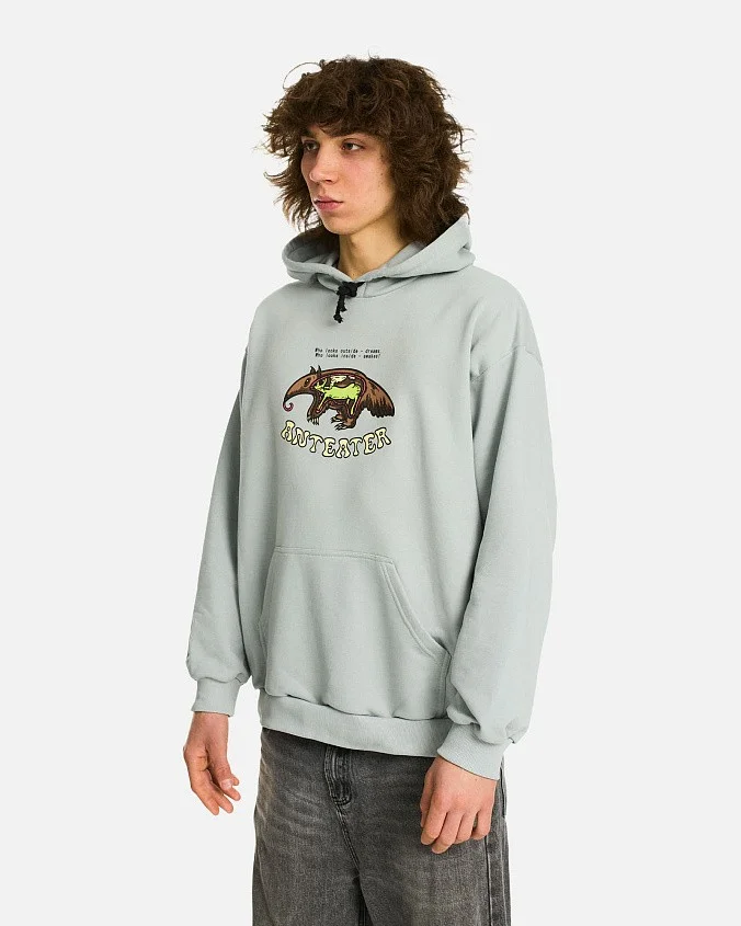 Толстовка Anteater Hoodie