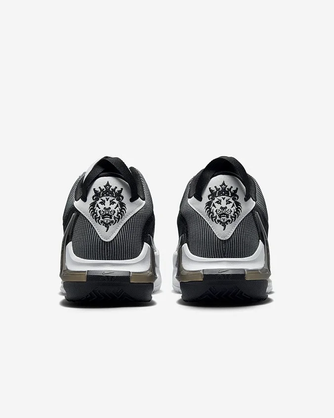 Кроссовки Nike LeBron Witness VII EP White/Black/Metallic Silver