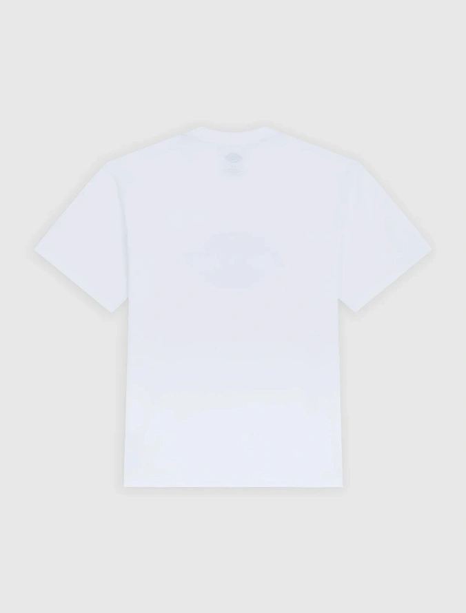 Футболка Dickies Icon Midweight T-Shirt White