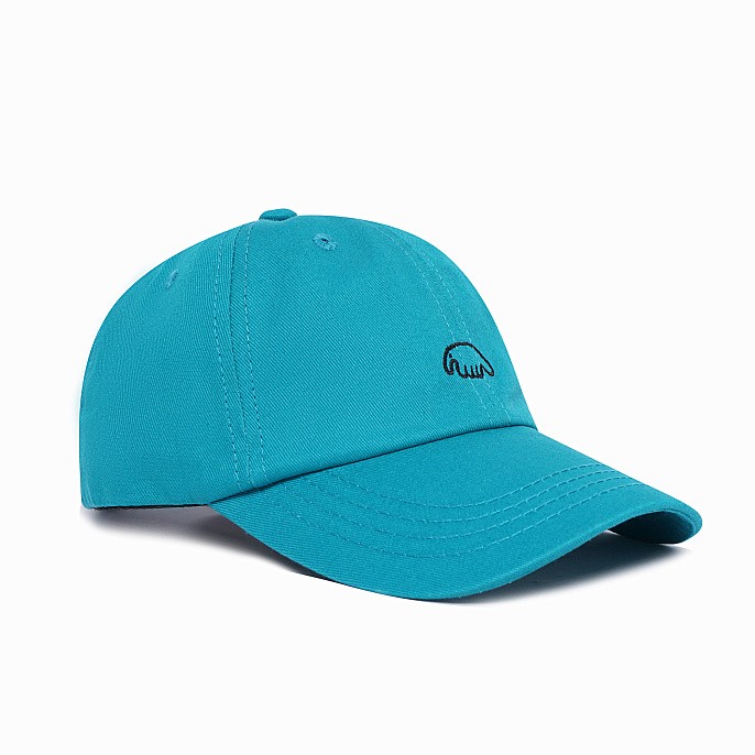 Кепка Anteater 6Panel