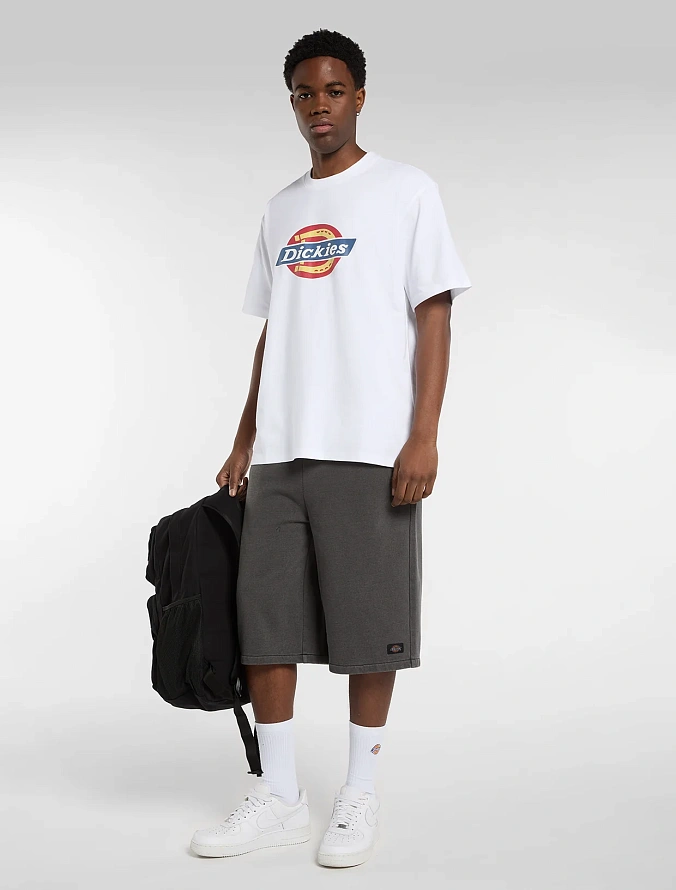 Футболка Dickies Icon Midweight T-Shirt White