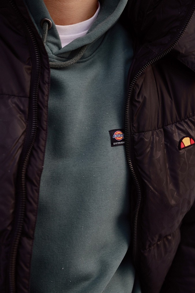 Толстовка Dickies Skateboarding Chest Logo Hoodie Lincoln Green