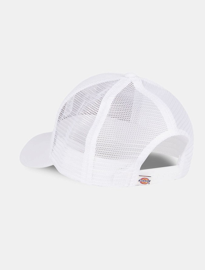 Кепка Dickies Hanston Trucker Cloud